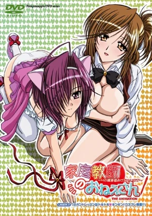 Kateikyoushi no Onee-san The Animation